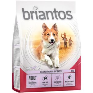 4x1 kg Adult Laks & Ris Briantos - Hundefoder