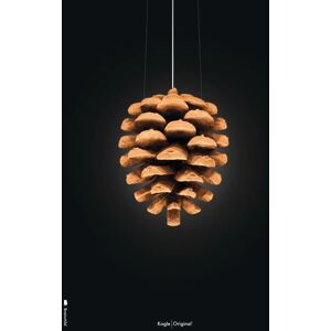 Brainchild Plakat 70x100 cm - Koglen Med Sort Baggrund OUTLET