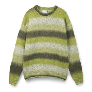 Family Firsttil Mænd. Swf2503 Afbleget Jumper Grøn (L), Casual, Bomuld Family Firsttil Mænd. Swf2503 Afbleget Jumper Grøn (L), Casual, Bomuld