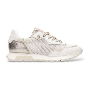 Hispanitastil Kvinder. Hv264825 Træningssko Oregon Off-White (40), Læder, Hvid, Fast, Blonder, Casual Hispanitastil Kvinder. Hv264825 Træningssko Oregon Off-White (40), Læder, Hvid, Fast, Blonder, Casual