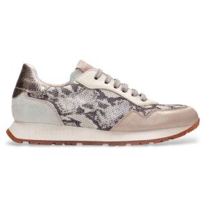 Hispanitastil Kvinder. Phv253812 Beige Havana Læder-Sneakers (36), Fast, 1-3 Cm, Blonder, Casual, Dyreprint Hispanitastil Kvinder. Phv253812 Beige Havana Læder-Sneakers (36), Fast, 1-3 Cm, Blonder, Casual, Dyreprint