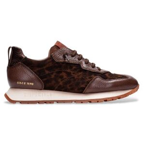 Hispanitastil Kvinder. Chi254312 Sneakers I Læder Kansas Bolmet Brun (36), Fast, 1-3 Cm, Blonder, Casual, Dyreprint Hispanitastil Kvinder. Chi254312 Sneakers I Læder Kansas Bolmet Brun (36), Fast, 1-3 Cm, Blonder, Casual, Dyreprint