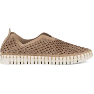 Ilse Jacobsentil Kvinder. Tulip3275 Brun Slip-In Tulipan Sko (37), Stof, Fast, Ingen, Casual Ilse Jacobsentil Kvinder. Tulip3275 Brun Slip-In Tulipan Sko (37), Stof, Fast, Ingen, Casual