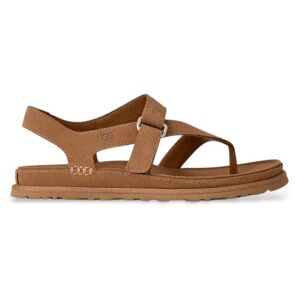 Uggtil Kvinder. 1175134 Goldengaze Tåspids-Sandaler I Brunt Læder (36), Fast, Velcro, Casual Uggtil Kvinder. 1175134 Goldengaze Tåspids-Sandaler I Brunt Læder (36), Fast, Velcro, Casual
