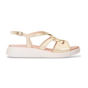 Wonderstil Kvinder. C-6550 Breeze Læder-Sandaler I Guld (41), Guldfarvet, 3-5 Cm, Spænder, Casual Wonderstil Kvinder. C-6550 Breeze Læder-Sandaler I Guld (41), Guldfarvet, 3-5 Cm, Spænder, Casual