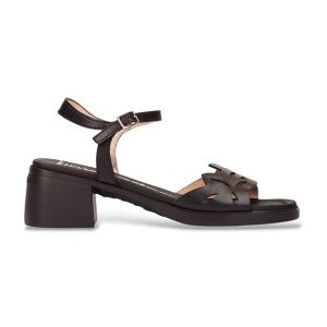 Wonderstil Kvinder. D-2301 Toka Læder Sandaler Sort (37), 3-5 Cm, Spænder, Casual Wonderstil Kvinder. D-2301 Toka Læder Sandaler Sort (37), 3-5 Cm, Spænder, Casual