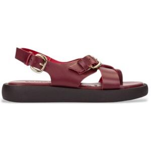 Wonderstil Kvinder. Ab-1332_5338_12254 Sandaler I Læder Horizon 32 Bordeaux (37), Fast, Spænder, Casual, Burgund Wonderstil Kvinder. Ab-1332_5338_12254 Sandaler I Læder Horizon 32 Bordeaux (37), Fast, Spænder, Casual, Burgund