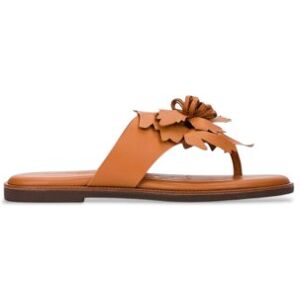 Wonderstil Kvinder. Ab-1587k_5338_2725 Brune Musa 87k-Sandaler I Læder (37), Fast, Ingen, Casual Wonderstil Kvinder. Ab-1587k_5338_2725 Brune Musa 87k-Sandaler I Læder (37), Fast, Ingen, Casual