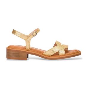 Wonderstil Kvinder. B-9610 Tokat-Sandaler I Guld (36), Læder, Guldfarvet, 1-3 Cm, Spænder, Casual Wonderstil Kvinder. B-9610 Tokat-Sandaler I Guld (36), Læder, Guldfarvet, 1-3 Cm, Spænder, Casual