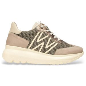 Wonderstil Kvinder. A-4001 Træningssko Ultrafly 01 Taupe (36), Læder, 3-5 Cm, Blonder, Casual, Gråt Wonderstil Kvinder. A-4001 Træningssko Ultrafly 01 Taupe (36), Læder, 3-5 Cm, Blonder, Casual, Gråt