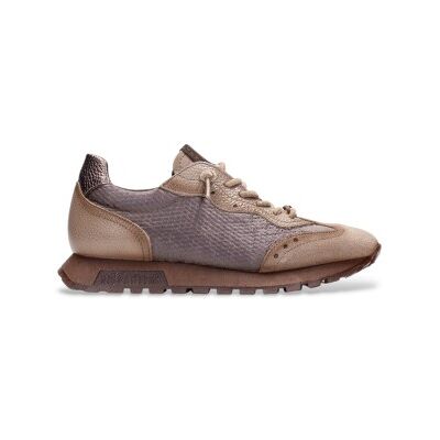 Hispanitastil Kvinder. Hi264955 Oregon Taupe Læder Sneakers (36), Fast, Blonder, Casual, Gråt Hispanitastil Kvinder. Hi264955 Oregon Taupe Læder Sneakers (36), Fast, Blonder, Casual, Gråt