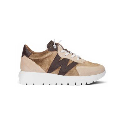 Wonderstil Kvinder. A-24111 Læder Sneakers Odisei01 Taupe (36), Fast, 1-3 Cm, Splittet Læder, Blonder, Casual, Gråt Wonderstil Kvinder. A-24111 Læder Sneakers Odisei01 Taupe (36), Fast, 1-3 Cm, Splittet Læder, Blonder, Casual, Gråt