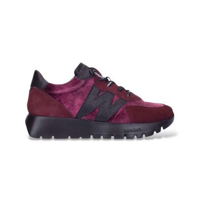 Wonderstil Kvinder. A-24111 Læder Sneakers Odisei01 Bordeaux (37), Fast, 1-3 Cm, Splittet Læder, Blonder, Casual, Rødbrun Wonderstil Kvinder. A-24111 Læder Sneakers Odisei01 Bordeaux (37), Fast, 1-3 Cm, Splittet Læder, Blonder, Casual, Rødbrun