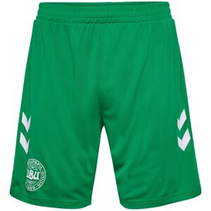 Hummel Dbu Danmark 24 Målmandsshorts Unisex Tøj Grøn 116