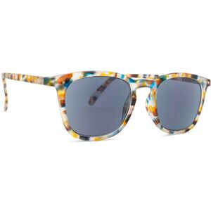 Izipizi Reading Sun #E Blue Tortoise