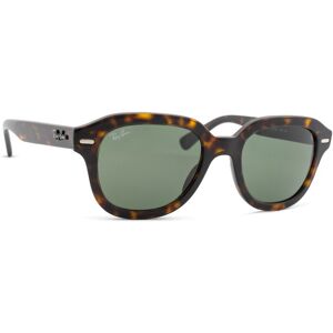 Ray-Ban Erik RB4398 902/31