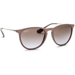 Ray-Ban Erika RB4171 600068 54