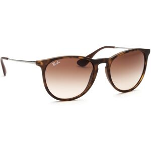 Ray-Ban Erika RB4171 865/13 54