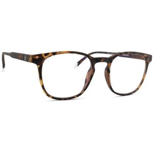 Barner Screen Dalston Tortoise