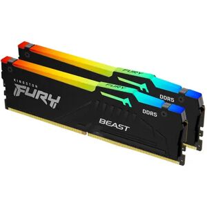 Kingston Fury Beast Rgb