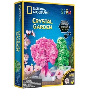 Tildas National Geographic Crystal Garden