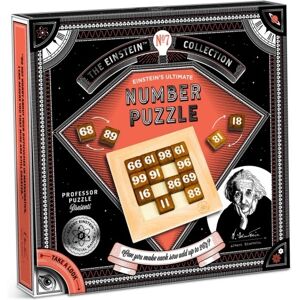 Professor Puzzle Einstein Number Puzzle