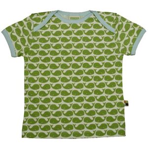 loud + proud Unisex Baby T-Shirts Animal Print 204 74/80 loud + proud Unisex Baby T-Shirts Animal Print 204 74/80