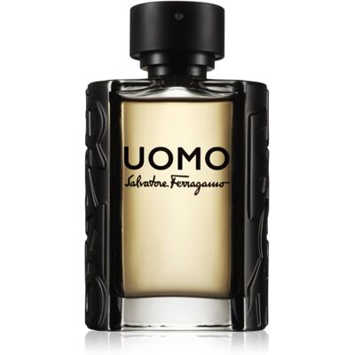Ferragamo Uomo Eau de Toilette til mænd 100 ml Ferragamo Uomo Eau de Toilette til mænd 100 ml