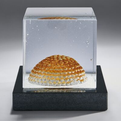 Dome Ltd Ed, 100 Stk. - Kosta Boda Dome Ltd Ed, 100 Stk. - Kosta Boda