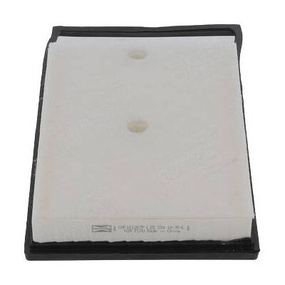CHAMPION CAF101267P Luftfilter CHAMPION CAF101267P Luftfilter