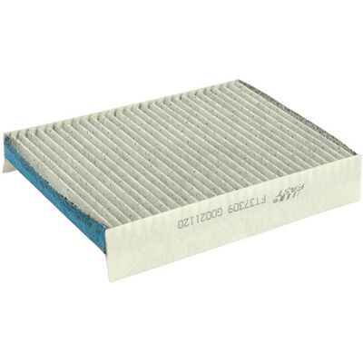 FAST FT37309PM Pollenfilter FAST FT37309PM Pollenfilter