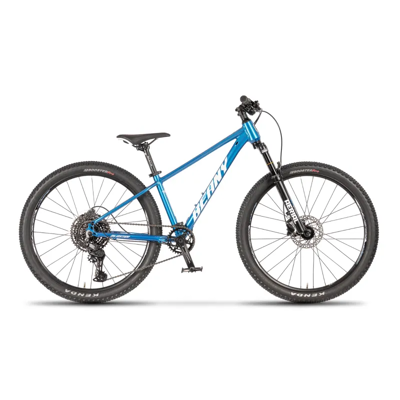 Beany Blaster 24 children's bike Blue 24 Beany Blaster 24 children's bike Blue 24