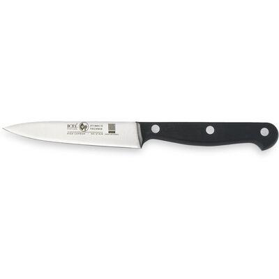 Icel Pyntekniv, 10 cm, Technik Icel Pyntekniv, 10 cm, Technik