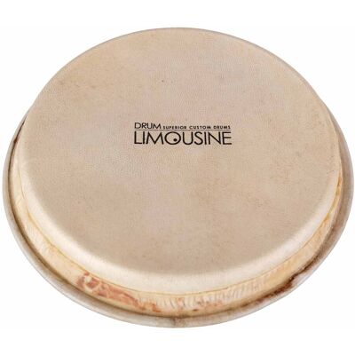 Drum Limousine TD-HEAD5 skind til Traditional bongo, 5,5" Drum Limousine TD-HEAD5 skind til Traditional bongo, 5,5"
