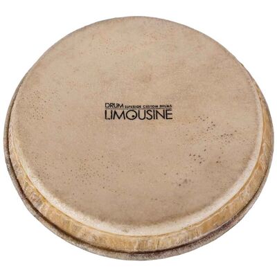 Drum Limousine TDP-HEAD8 skind til Traditional Pro bongo, 8" Drum Limousine TDP-HEAD8 skind til Traditional Pro bongo, 8"