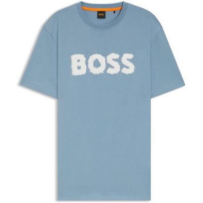 Boss Te_Frozen 10276567 01 XL XL Boss Te_Frozen 10276567 01 XL XL