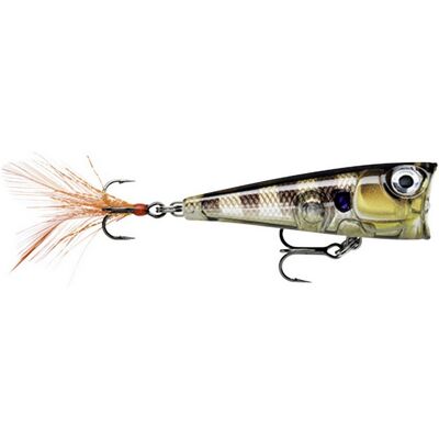 Rapala X-Light Pop 4,5cm-Ggiu (Glassy Gill Uv) Rapala X-Light Pop 4,5cm-Ggiu (Glassy Gill Uv)