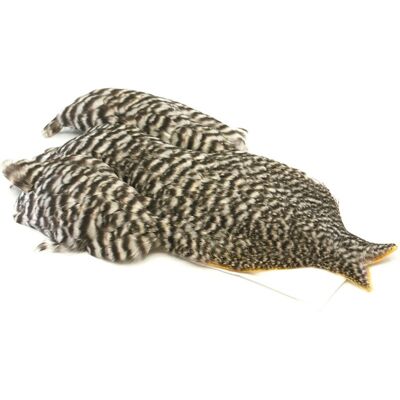 Whiting 4b Hen Cape-Grizzly Whiting 4b Hen Cape-Grizzly
