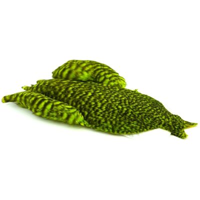 Whiting 4b Hen Cape-Grizzly Dyed Fl. Green Chartreuse Whiting 4b Hen Cape-Grizzly Dyed Fl. Green Chartreuse