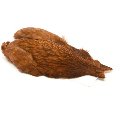 Whiting 4b Hen Cape-White Dyed Brown Whiting 4b Hen Cape-White Dyed Brown