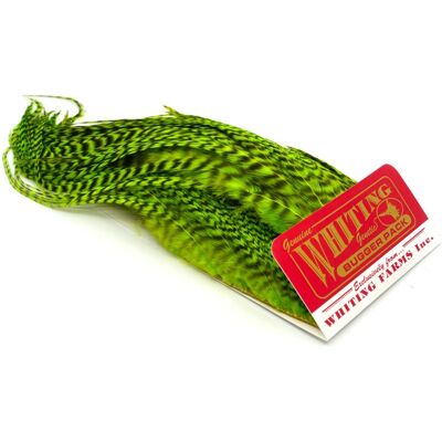 Whiting Bugger Pack-Grizzly Dyed Fl. Green Chartreuse Whiting Bugger Pack-Grizzly Dyed Fl. Green Chartreuse