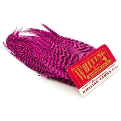 Whiting Bugger Pack-Grizzly Dyed Pink Whiting Bugger Pack-Grizzly Dyed Pink