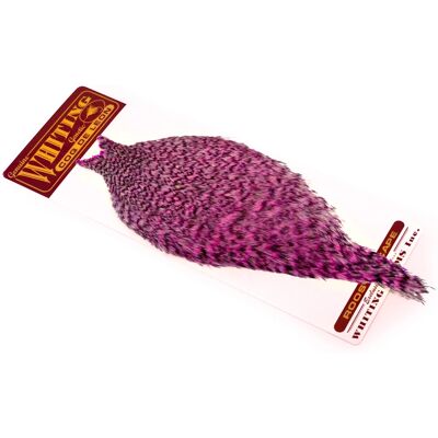 Whiting Coq De Leon-Grizzly Dyed Pink Whiting Coq De Leon-Grizzly Dyed Pink