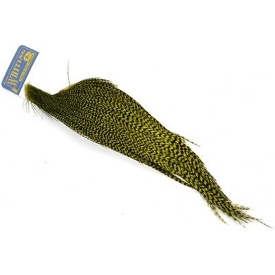 Whiting High & Dry 1/2 Cape-Grizzly Dyed Olive Whiting High & Dry 1/2 Cape-Grizzly Dyed Olive
