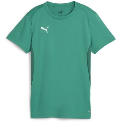Puma Dame Sportshirt teamGOAL Jersey Wmn - Sportshirt Puma Dame Sportshirt teamGOAL Jersey Wmn - Sportshirt