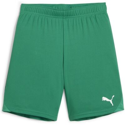 Puma teamGOAL Shorts - Junior - Grøn Puma teamGOAL Shorts - Junior - Grøn