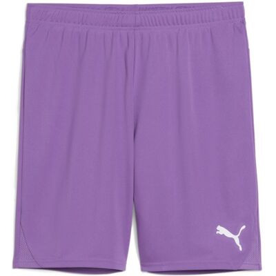 Puma Herren, Sporthose, teamGOAL Shorts (XL), Violett - Sport Shorts Puma Herren, Sporthose, teamGOAL Shorts (XL), Violett - Sport Shorts