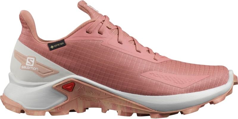 Salomon Women's Alphacross Blast Gore-Tex Pink Pink 40 Salomon Women's Alphacross Blast Gore-Tex Pink Pink 40