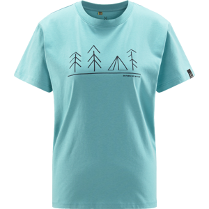 Haglöfs Women's Camp Tee Frost Blue M, Frost Blue