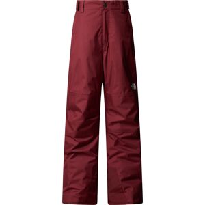 The North Face Boys' Freedom Insulated Pant Sumac, XS The North Face Boys' Freedom Insulated Pant Sumac, XS